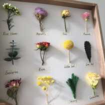 SZreggio Huan Chuang Childrens Room Decoration Natural Materials Decoration Waldford Montts Teaching Away Chuang