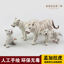 Childrens solid simulation animal model Bengal White Tiger Wild Animal World tiger toy 3-6 year old gift