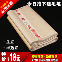 Anhui Jingxian three feet four feet six feet rice paper net skin calligraphy Chinese painting special raw Xuan handmade rice paper wholesale 100 sheets