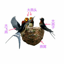  Simulation birds nest spread its wings and fly swallows and birds decorations Wall decoration wall decoration Home decoration living room kindergarten decoration