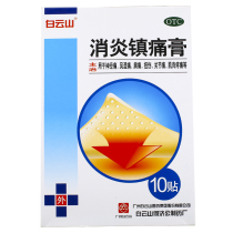 Baiyunshan anti-inflammatory analgesic paste 10 boxes