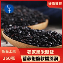 Northeast 2020 new black rice black rice Wuchang Nongjia fragrant rice purple rice grains coarse grain brown rice 250 grams