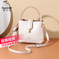 Woodpecker bag New 2021 net red wild card satchel bag women shoulder shoulder bag fashion Hand bag women bucket bag