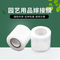 Grafting film Fruit tree stretch film Grafting special plastic film Self-adhesive grafting scissors Transparent stretch film Insulation film