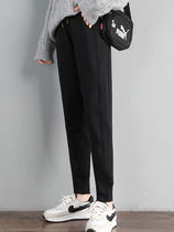 Casual sweatpants womens summer spring and autumn New loose cashmere padded pants Joker slim straight Harren pants tide