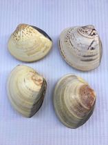 High quality shell anti-freeze chapped moisturizing crooked oil old Shanghai ha hand protective equipment gloves gloves