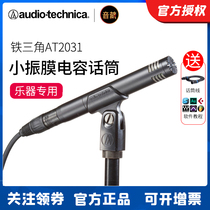 Iron Triangle AT2031 Small Diaphragm Condenser Microphone String Instrument Piano Violin Erhu Guzheng Guqin Receiving