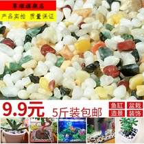 Colored stone fleshy flower pot paving stone flower stone rain flower stone seven color stone potted decorative fish tank landscape