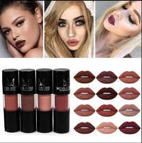 European and American matte matte non-stick cup lipstick Lip glaze lip gloss eat earth color brick red pumpkin nude cheap instead of net red