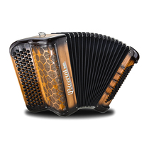 Borovini B96III Spray paint Special edition 50-key 96 bass Italian Bayan accordion button accordion