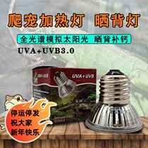 Reptile turtle uva heating lamp uvb calcium supplement lamp back lamp climbing pet heating heat preservation lamp lizard lamp
