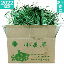 Wheat Grass Hay Hay Fodder Rabbit Edible Grass Rabbit Grain Feed Barley Dragon Cat Food Dutch Pig Guinea Pig Eat