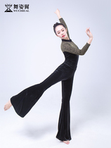 Dancing Wing shape clothing womens suit 2020 spring and summer new lace stitching long sleeve art test show dance practice uniform