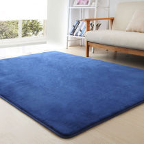 Beauty salon carpets are full of dirt-resistant carpets thickened in winter warm bedroom mats large areas easy to clean and warm
