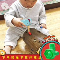 Baby boy puzzle action brain 1-2-year-old 3 boys girls peck birds eat catch and catch bugs play magnetic phishing toys
