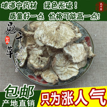 Natural chicory root Magnolia root primary color Changbai Mountain Chicory root tea 500g