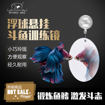Australian octopus home selected fighting fish training mirror fish tank exercise to increase fighting spirit vitality toys
