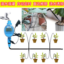 Power Supply Plug-in Automatic Timing Watering Water Dripper Green Plant Potted Water Leaching Water Travel Seepage Lazy Automatic Watering Water
