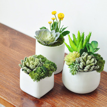 Jiusi simulation multi-meat potted fake green plant decorations ornaments small bionic plant combination bonsai art007