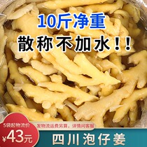 Sichuan special water-free blister ginger bubbles tender ginger 10 catty 5 kg without adding water bagged pickle rapeseed ginger