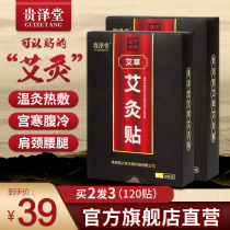 Moxibustion paste conditioning palace cold fever paste Shoulder neck waist and leg paste Cervical spine hot compress paste wormwood leaf paste non-palace warm paste