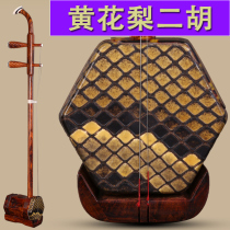 Huanghuali Erhu Suzhou National Musical Instrument Handmade Hainan Huanghuali Erhu Professional Performance Erhu