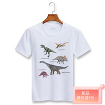 Summer New Boy Speed Dry T-shirt Short Sleeve Outdoor Sports Fashion Cartoon Dinosaur Kid Kids Half Sleeve Fat