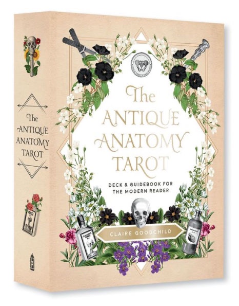 Antique anatomy tarrot anatomically vintage Taying version of the new American straight