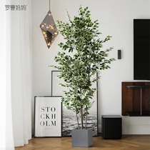 Roman Mother Nordic Emulation Plant Flowers Leaves Banyan Tree Indoor Green Planting Potted Plant Fake Tree Bonsai Moulding Furnishing