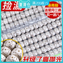 Hainan Star and Moon Bodhi child 108 vegetarian beads Buddha beads Men and women couples hand string necklace First month high density big raw seeds