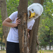 WILDBEAST New Eagle creative headgear mask plush pointed bird animal funny Eagle Image performance