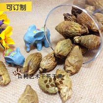 Thailand imported olive fruit natural wind dry dried fruit shooting props ZAKKA groceries