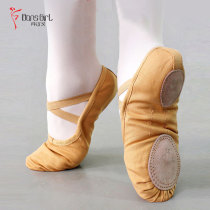 Dan Shige dance shoes womens soft bottom practice shoes adult cat claw body shoes childrens ballet skills shoes 5111