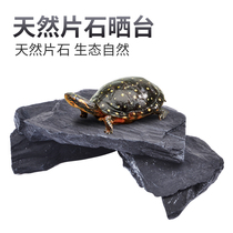Cool climbing turtle basking platform Basking platform Natural stone tablet stone climbing platform Fish tank Turtle tank Landscaping decoration Outdoor rockery