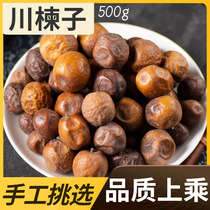 Seeking Baicao Chinese herbal medicine Chuanzi seed Aezanum Neem seed Neem raw Chuanzi new goods 500g