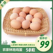 Pyeongchang Origin Alcohol New Soil Eggs Farmhouse Loose Start Raw Egg Grass Eggs 50