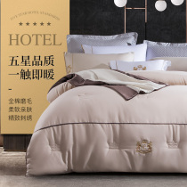 Kangerxin five-star hotel thin quilt quilt core winter cotton wool warm double quilt spring and autumn quilt four seasons