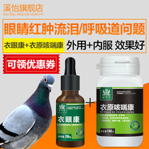 A drop of spirit pigeons special single eye cold medicine eye tears swelling medicine respiratory tract pigeon medicine book common diseases