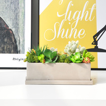 Hand-made simulation multi-meat combination potted fern leaf green plant flower art cement pot set table decoration art273