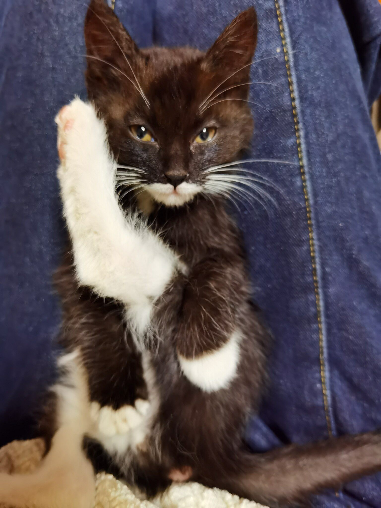 【独家爆料】玛丽黛佳算的卸妆怎么样？一定要了解的评测情况