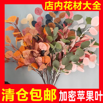 Factory wholesale encrypted Apple leaf simulation flower eucalyptus money leaf wedding floral flower wood forest wedding Green Leaf
