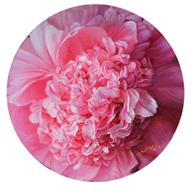 (sent inside frame) Wang Yuwei realistic oil painting Flower mens Mudan flowers bedroom living room decoration painting