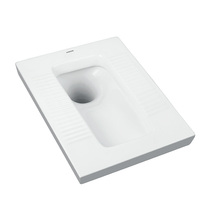 Wrigley bathroom AE5007-1 conjoined squatting toilet (accept counter inspection)