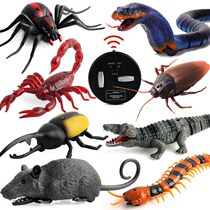 Trick toy remote control spider boy electric toy scary simulation cockroach ant insect animal centipede snake