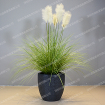 Nordic Retro Cement Color GRP Floor Large Flower Pot Hotel Lobby Landscape Swing Piece Mall Dry Floras Flower Vat
