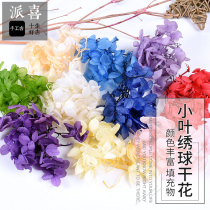 Paixi DIY Handmade Time Gemstone Crystal Drip Glue Little Leaf Embroidered Ball Flower Eternal Flower Ornament Dry Flower Material