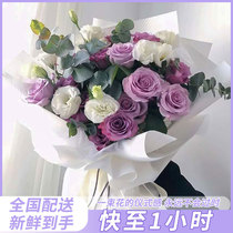 National Flower Express City Distribution Sea Song Purple Rose Bouquet Beijing Shanghai Guangzhou Birthday Flower Shop