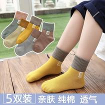 Boy socks boys and boys cotton early children winter autumn and winter cotton 13-15 years old comfortable