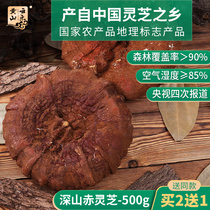 Huangshan Yunle Red Ganoderma Lucidum semi-wild Deep mountain Ganoderma Lucidum wild whole 500g Ganoderma lucidum dry goods brewing wine health tea