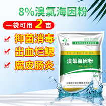 Bromine chlorine hydantoin powder 8% Italy and aquaculture pond shrimp and crab shell turtle frog disinfection bleeding Gill enteritis